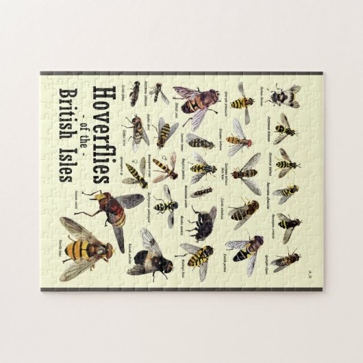 Hoverfly Puzzle (Horizontal)