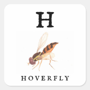 Hoverfly Quadratischer Aufkleber