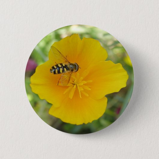 Hoverfly-Schaltfläche für kalifornische Mohnblumen Button (Vorderseite)