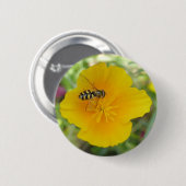 Hoverfly-Schaltfläche für kalifornische Mohnblumen Button (Vorne & Hinten)