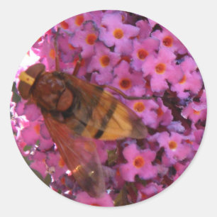 Hoverfly-Sticker Runder Aufkleber