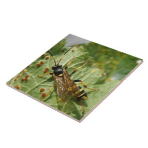 Hoverfly Tile Fliese