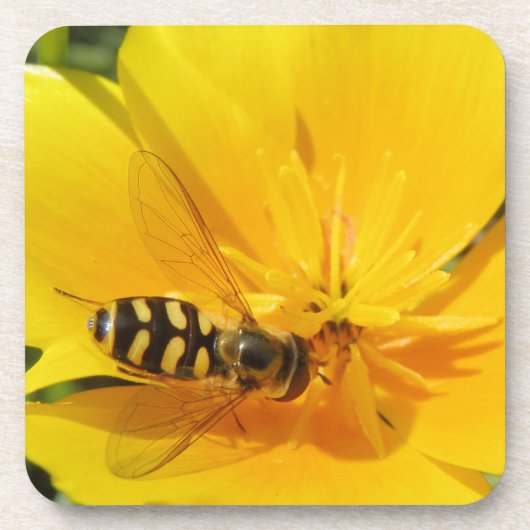 Hoverfly und Blume Cork Untersetzer (Vorderseite)