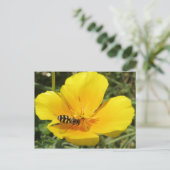 Hoverfly und Blume Postkarte (Stehend Vorderseite)