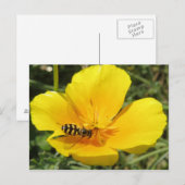 Hoverfly und Blume Postkarte (Vorne/Hinten)