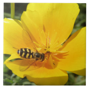Hoverfly und Blume Tile Fliese