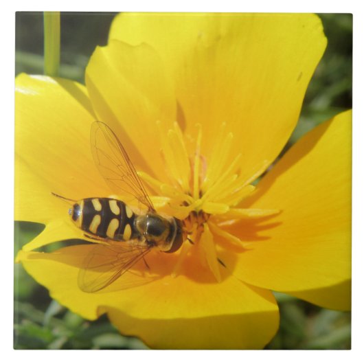 Hoverfly und Blume Tile Fliese (Vorderseite)