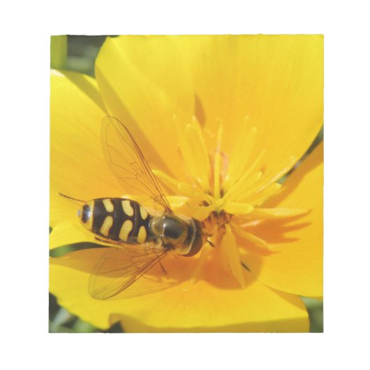 Hoverfly und Blumen Notepad Notizblock (Vorderseite)
