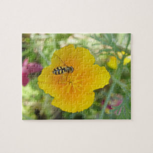 Hoverfly und das kalifornische Mohnpuzzle Puzzle