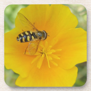 Hoverfly und kalifornischer Poppy Cork Untersetzer