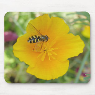 Hoverfly und Poppy Mousepad in Kalifornien