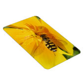 Hoverfly und Premium Magnet für Blume (Rechte Seite)