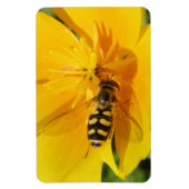 Hoverfly und Premium Magnet für Blume (Vertikal)