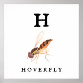 Hoverfly Value Poster Paper (Matte) (Vorne)