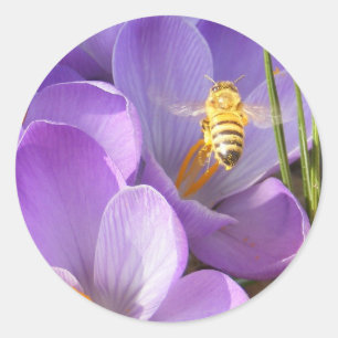 Hovering Bee ~ Aufkleber