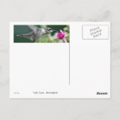 Hovering Hummingbird Postkarte (Rückseite)