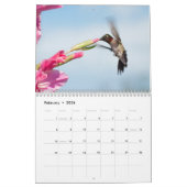 Hovering Hummingbirds 2015 Kalender (Feb 2026)