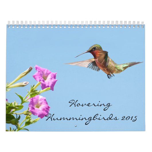 Hovering Hummingbirds 2015 Kalender (Titelbild)