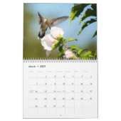 Hovering Hummingbirds 2015 Kalender (Mär 2027)