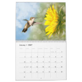 Hovering Hummingbirds 2015 Kalender (Jan 2027)