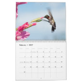 Hovering Hummingbirds 2015 Kalender (Feb 2027)