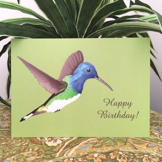 Hovering Jacobin Hummingbird - Geburtstag. Karte