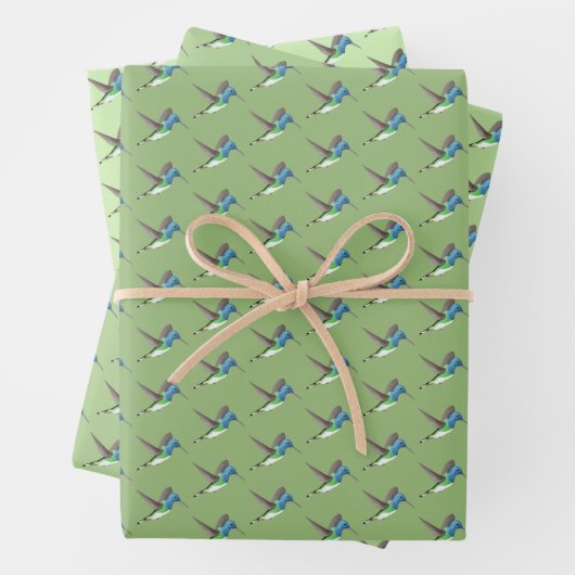 Hovering Jacobin Hummingbird - transp. 3 Farben. Geschenkpapier Set (Beispiel)