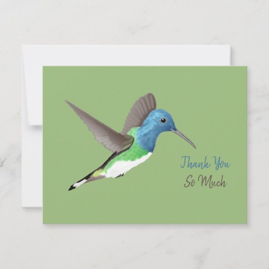 Hovering Jacobin Hummingbird - transparent. Dankeskarte (Vorderseite)