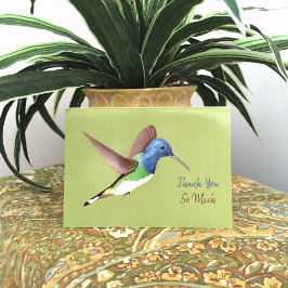 Hovering Jacobin Hummingbird - transparent. Dankeskarte