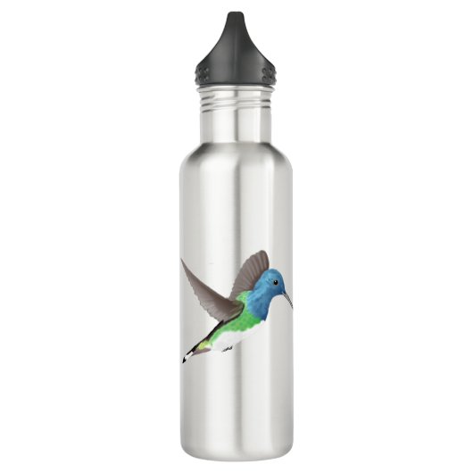 Hovering Jacobin Hummingbird - transparent. Edelstahlflasche (Links)