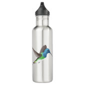 Hovering Jacobin Hummingbird - transparent. Edelstahlflasche (Rechts)