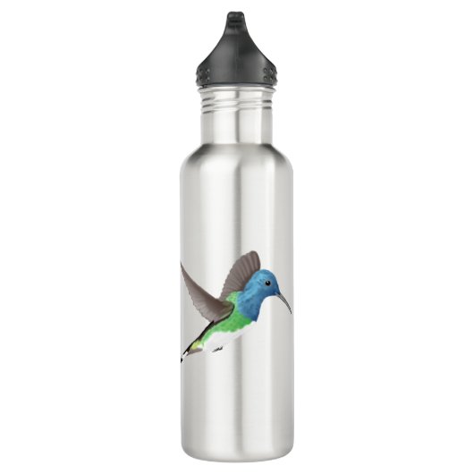Hovering Jacobin Hummingbird - transparent. Edelstahlflasche (Rechts)