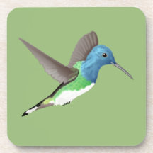 Hovering Jacobin Hummingbird - transparent.