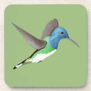 Hovering Jacobin Hummingbird - transparent. Getränkeuntersetzer