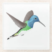 Hovering Jacobin Hummingbird - transparent. Glasuntersetzer (Vorderseite)
