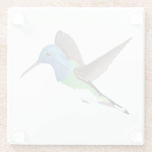 Hovering Jacobin Hummingbird - transparent. Glasuntersetzer (Rückseite)