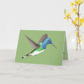 Hovering Jacobin Hummingbird - transparent. Karte (Gelbe Blume)