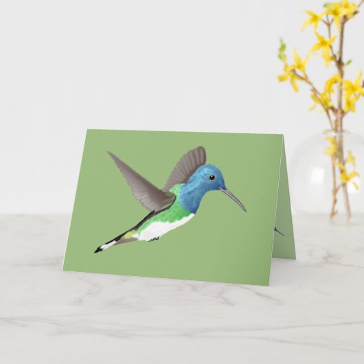 Hovering Jacobin Hummingbird - transparent. Karte (Gelbe Blume)