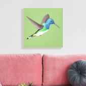 Hovering Jacobin Hummingbird - transparent. Leinwanddruck (Insitu (Wohnzimmer))