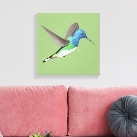 Hovering Jacobin Hummingbird - transparent. Leinwanddruck (Insitu (Wohnzimmer))