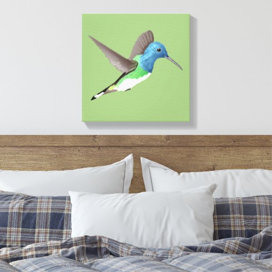 Hovering Jacobin Hummingbird - transparent. Leinwanddruck (Insitu (Schlafzimmer))