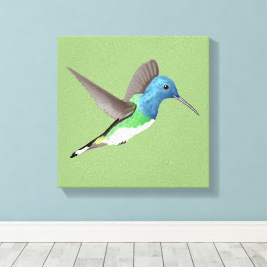 Hovering Jacobin Hummingbird - transparent. Leinwanddruck (Insitu (Holzboden))