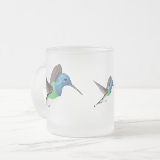 Hovering Jacobin Hummingbird - transparent. Mattglastasse (Vorderseite Links)