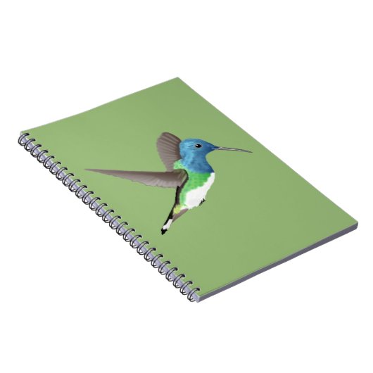 Hovering Jacobin Hummingbird - transparent. Notizblock (Rechte Seite)