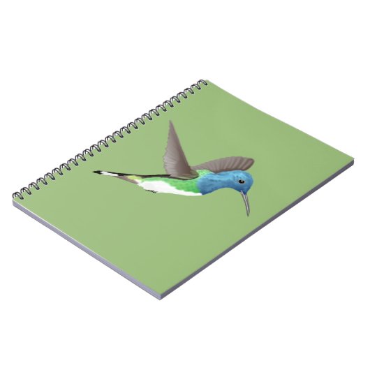 Hovering Jacobin Hummingbird - transparent. Notizblock (Linke Seite)