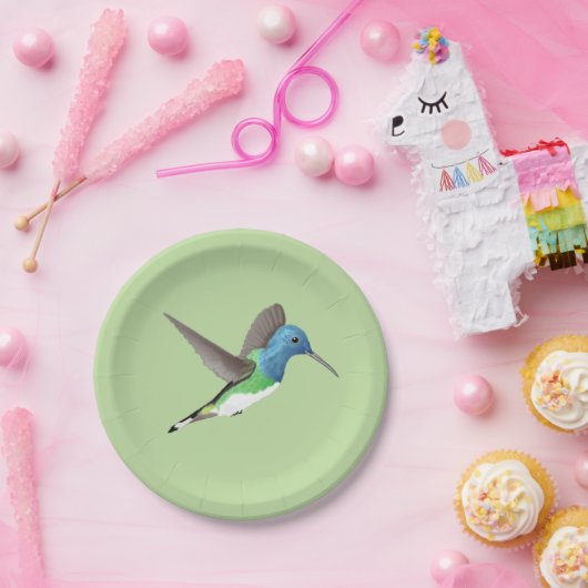 Hovering Jacobin Hummingbird - transparent. Pappteller (Party)