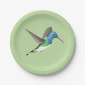 Hovering Jacobin Hummingbird - transparent. Pappteller (Vorderseite)