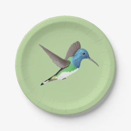 Hovering Jacobin Hummingbird - transparent. Pappteller