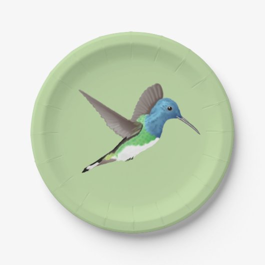 Hovering Jacobin Hummingbird - transparent. Pappteller (Vorderseite)
