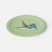 Hovering Jacobin Hummingbird - transparent. Pappteller (Schrägansicht)